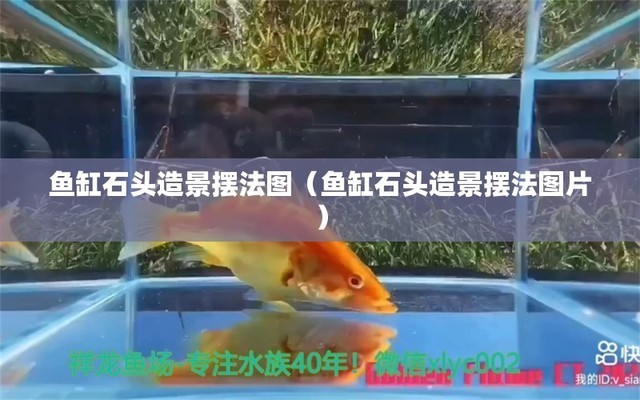 東莞市虎門海洋水族館（東莞市虎門海洋水族館地址）