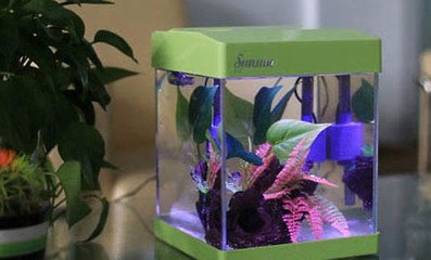 鄭州市鄭東新區(qū)紅星美凱龍水貴坊水族館（鄭州金水區(qū)紅星美凱龍地址查詢）