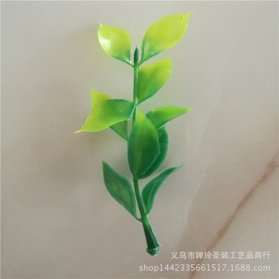 景縣新世紀(jì)水族漁具門(mén)市（景縣水族館）