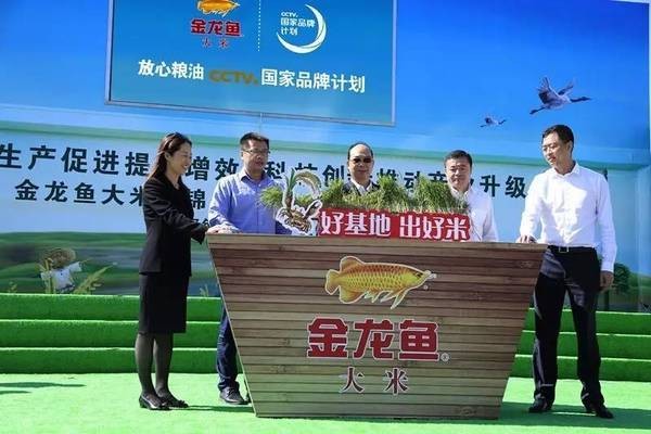 青島得采水族科技有限公司（青島得采水族科技有限公司怎么樣） 青島得采水族科技有限公司（青島得采水族科技有限公司怎么樣） 全國水族館企業(yè)名錄 第1張