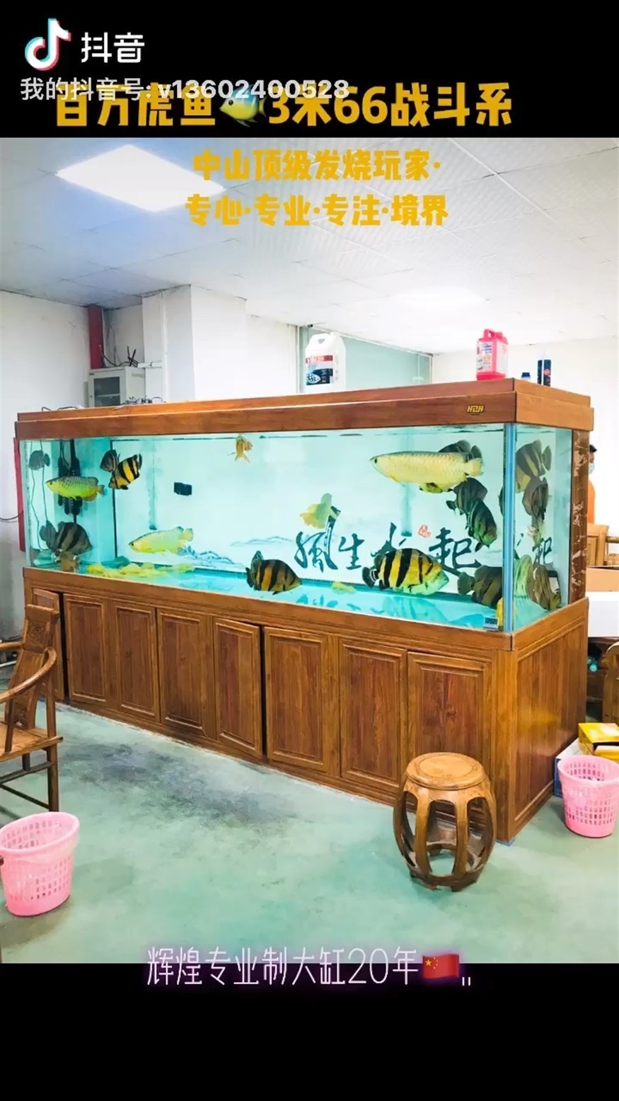 百萬虎魚3米66戰斗系統