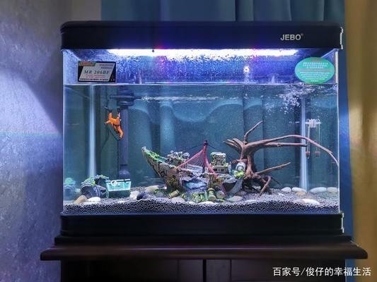 慈溪市可麗愛水族館（慈溪市可麗愛水族館地址） 慈溪市可麗愛水族館（慈溪市可麗愛水族館地址） 全國水族館企業名錄 第1張