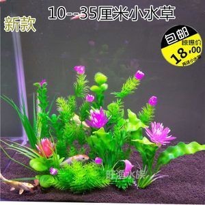 銀龍魚的養法和注意事項有哪些（銀龍魚的養法和注意事項有哪些呢）