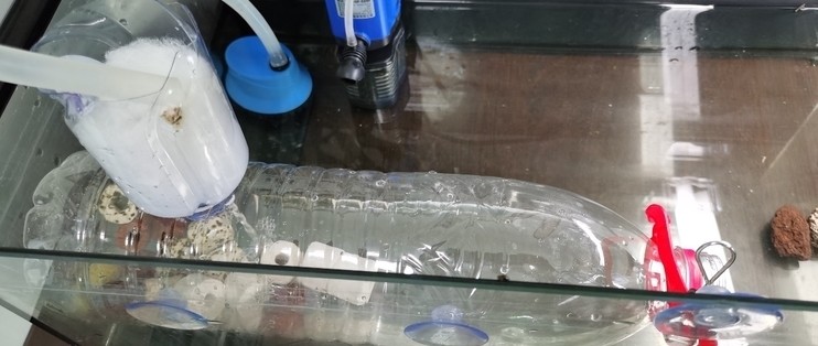 德州市德城區建星水族館（德州市德城區建星水族館電話）