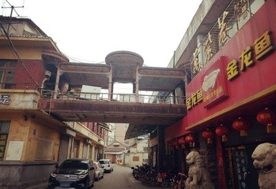 暴躁的虎魚