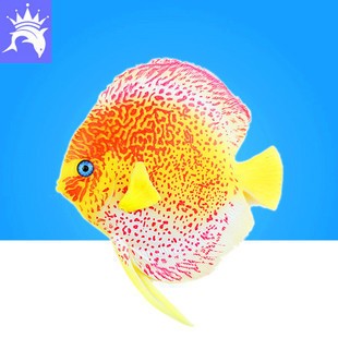 葉縣昆陽鎮霞輝水族館（葉縣昆陽鎮霞輝水族館電話）
