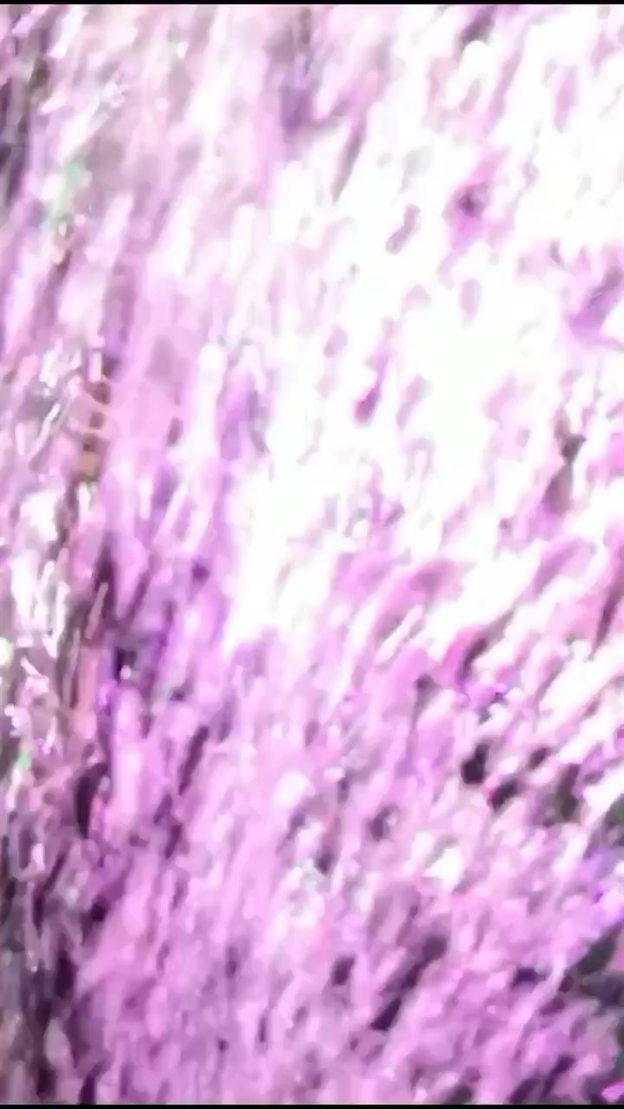 虎魚嘴巴合不上