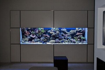 平原縣海洋水族館（平原縣海洋水族館電話）