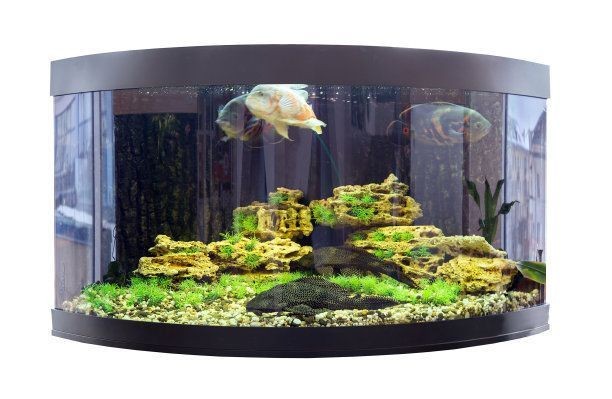 三亞新天房置業有限公司天房洲際度假酒店（三亞新天房投資發展有限公司）