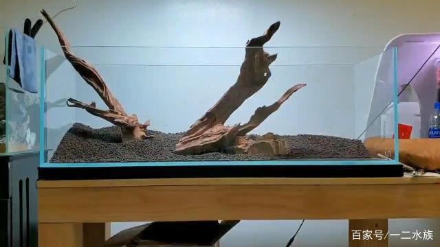 張掖市甘州區(qū)美魚水族館（張掖市甘州區(qū)美魚水族館