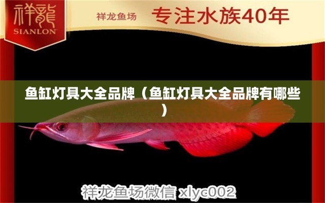 嘉峪關(guān)市愛水族水族館（嘉峪關(guān)市愛水族水族館在哪）