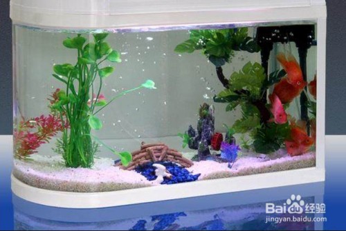 大慶市讓胡路區(qū)匯海水族館（大慶海匯酒業(yè)