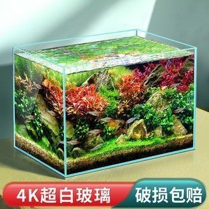 棗莊市薛城區鄒塢鎮彩魚閣水族館(棗莊市薛城區鄒塢鎮彩魚閣水族館電話) 全國水族館企業名錄 第1張 棗莊市薛城區鄒塢鎮彩魚閣水族館(棗莊市薛城區鄒塢鎮彩魚閣水族館電話) 棗莊市薛城區鄒塢鎮彩魚閣水族館(棗莊市薛城區鄒塢鎮彩魚閣水族館電話) 全國水族館企業名錄 第1張