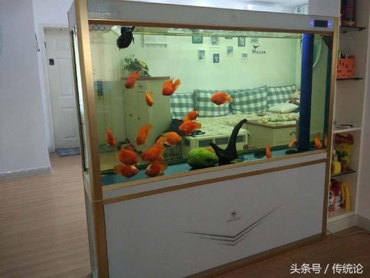銀龍魚尾巴發紅（銀龍魚尾巴發紅是什么原因）