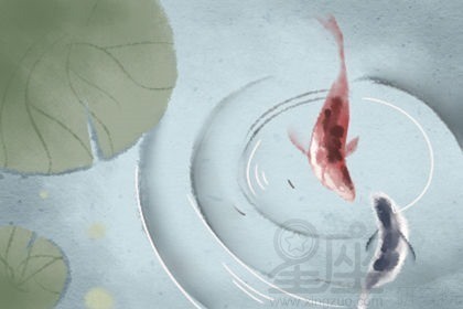 銀龍魚散尾是怎么回事兒（銀龍魚散尾是怎么回事兒啊）