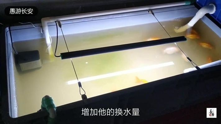 營口本色水族科技有限公司（營口本色水族科技有限公司怎么樣）