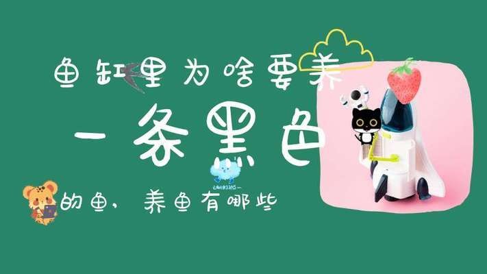 銀龍魚鱗片發白什么原因（銀龍魚鱗片發白什么原因造成的）