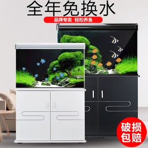 銀龍魚醫生魚鱗發黑（銀龍魚鱗片發黑）