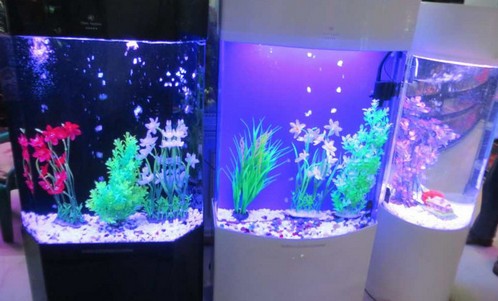 北京很多魚水族店（北京很多魚水族店叫什么）