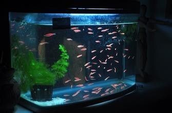涇河新城海洋之惜水族館（涇河新城海洋之惜水族館電話）