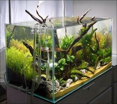 白銀區源林水族館（白銀區源林水族館電話）