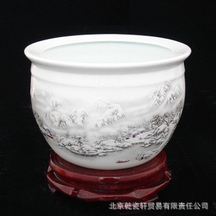 熱帶銀龍魚可以吃嗎（熱帶銀龍魚可以吃嗎有毒嗎）
