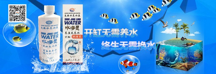 銀龍魚最低水溫不能低于多少度（銀龍魚最低水溫不能低于多少度呢）