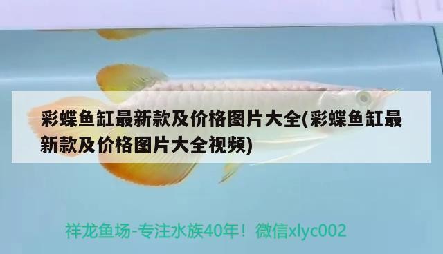 大銀龍魚咬小銀龍魚會死嗎（大銀龍魚咬小銀龍魚會死嗎視頻）