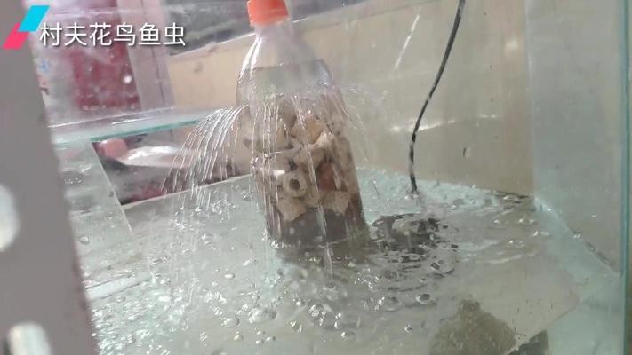 斗門區斗門鎮吉祥水族生活館（斗門區斗門鎮吉祥水族生活館地址）