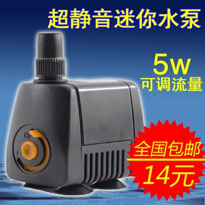 銀龍魚身上掉鱗怎么辦啊