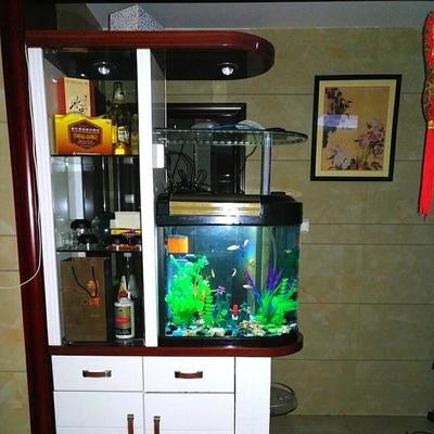 銀龍魚喂活魚幾天喂一次好（銀龍魚喂活魚幾天喂一次好呢）