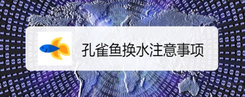 銀龍魚長大的樣子(銀龍魚成長變化圖片)