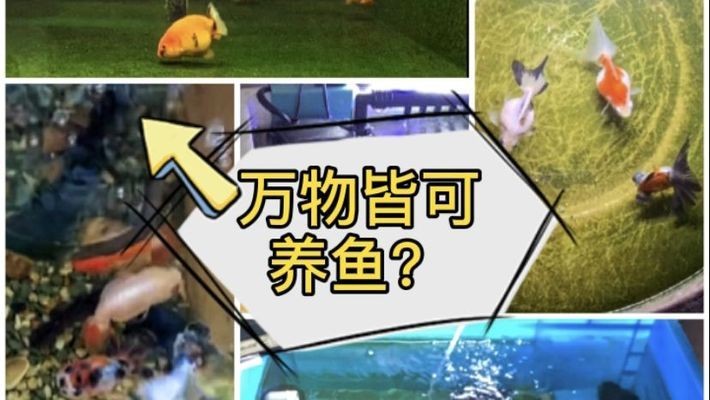 汕頭市金平區亞馬遜水族館(汕頭市金平區亞馬遜水族館地址) 全國水族館企業名錄 第1張 汕頭市金平區亞馬遜水族館(汕頭市金平區亞馬遜水族館地址) 汕頭市金平區亞馬遜水族館(汕頭市金平區亞馬遜水族館地址) 全國水族館企業名錄 第1張