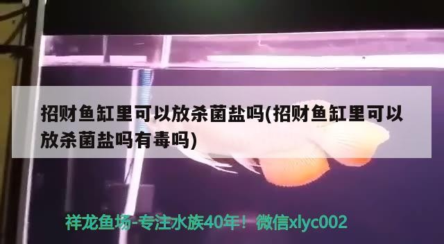 虎魚咬龍怎么辦？