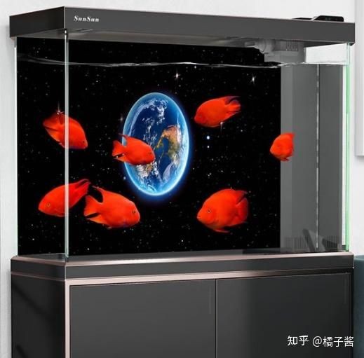 高性價比魚缸材質選擇高性價比魚缸材質的科學解讀：如何選擇高性價比的魚缸？ 高性價比魚缸材質選擇高性價比魚缸材質的科學解讀：如何選擇高性價比的魚缸？ 魚缸百科 第4張
