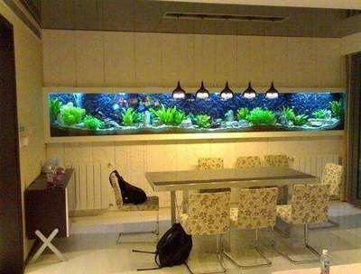 斗魚(yú)魚(yú)缸怎么布置最好：布置斗魚(yú)魚(yú)缸的方法
