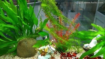 開原市佳璐水族館（開原市佳璐水族館電話） 開原市佳璐水族館（開原市佳璐水族館電話） 全國水族館企業名錄 第1張