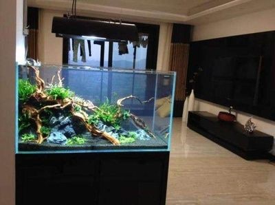 大型海水魚缸設(shè)計效果圖：大型海水魚缸設(shè)計效果圖欣賞