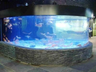 大蘇打放魚缸有什么用：大蘇打在水產養殖中的作用