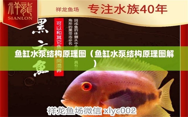 土默特右旗薩拉齊海洋天堂水族館 土默特右旗薩拉齊海洋天堂水族館 全國水族館企業名錄 第1張