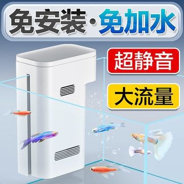 過濾桶魚缸水質(zhì)管理：過濾桶魚缸加水方法 過濾桶魚缸水質(zhì)管理：過濾桶魚缸加水方法 魚缸百科 第2張