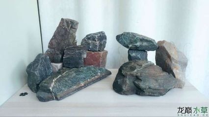 海邊撿的石頭可以放魚缸里的生活習性和水質要求和消毒：海邊撿的石頭可以放入魚缸里嗎？