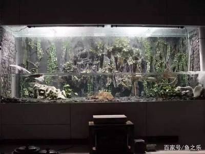 魚缸水位高低對養(yǎng)魚有影響嗎？：底濾魚缸水位高低對養(yǎng)魚有影響嗎？