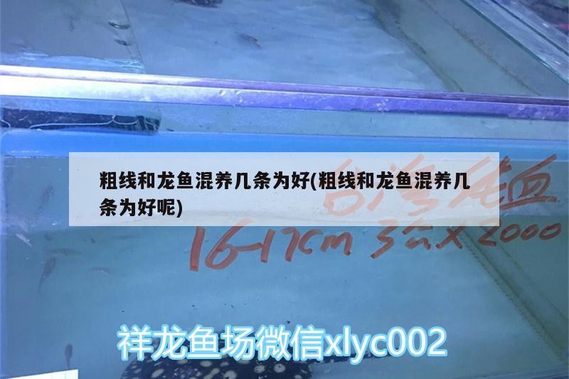 虎皮雞爪的制作方法和配料（五香虎皮雞爪的制作方法和配料） 虎皮雞爪的制作方法和配料（五香虎皮雞爪的制作方法和配料） 虎魚(yú)百科 第3張