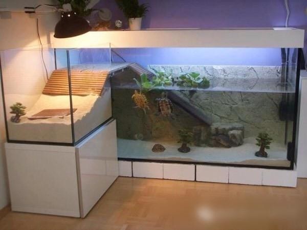 西峰區海洋世界水族批零店（西峰區海洋世界水族批零店在哪里）