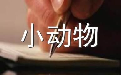 紅鯉魚魚缸味道特別大怎么辦？：紅鯉魚魚缸味道特別大可能與以下幾個因素有關