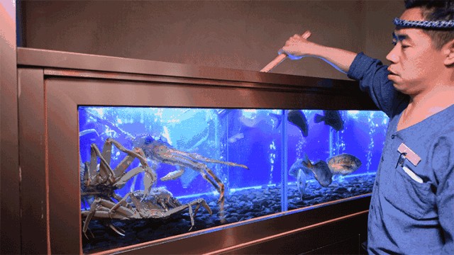 <strong><mark>深圳</mark></strong>魚好水族提供帝王魚缸的設計、制造、養護等服務：水族箱養護秘籍