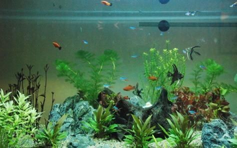 宣威市頤神苑水族館（宣威市頤神苑水族館電話）