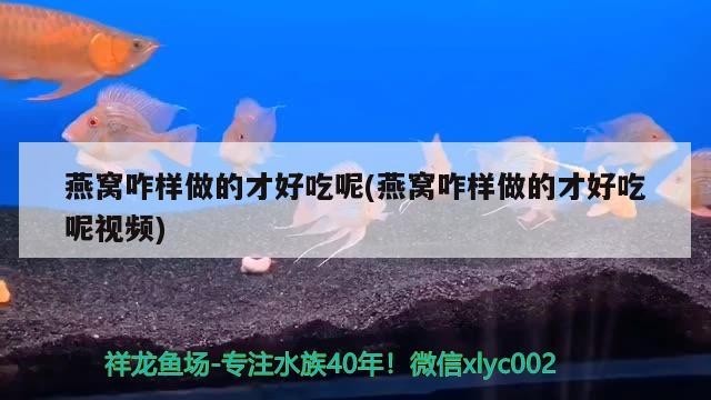 紅龍魚(yú)和虎魚(yú)混養(yǎng)視頻大全播放，紅龍魚(yú)和虎魚(yú)打架怎么辦