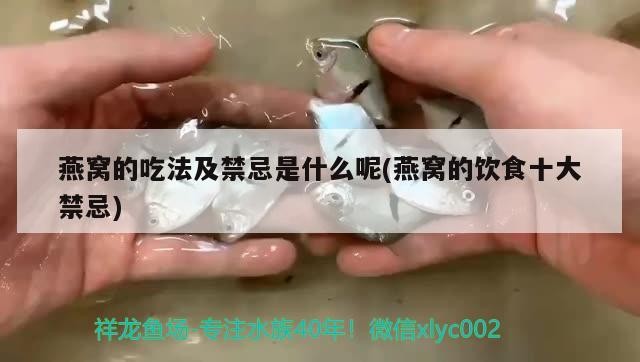 紅龍魚(yú)和虎魚(yú)混養(yǎng)視頻大全播放，紅龍魚(yú)和虎魚(yú)打架怎么辦